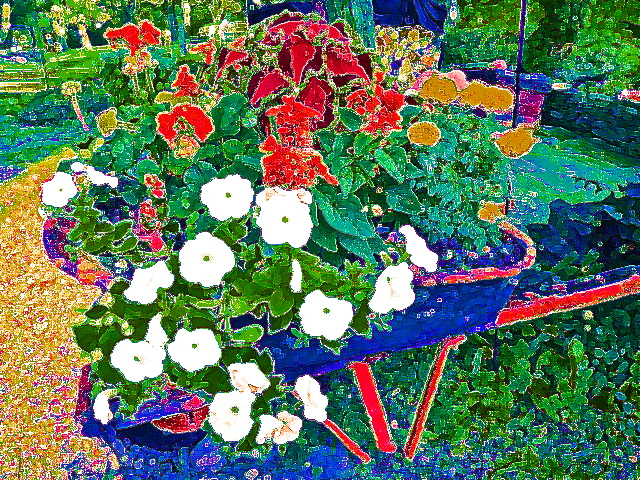 Wheelbarrow Garden