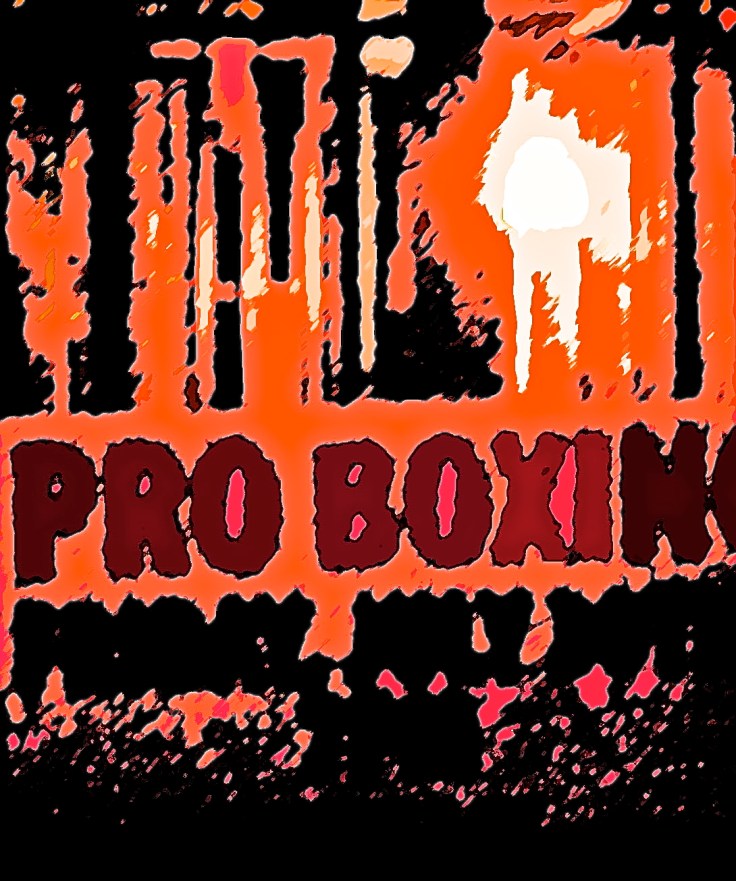 Pro Boxing